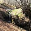 A small waterfall just below a natural spring.