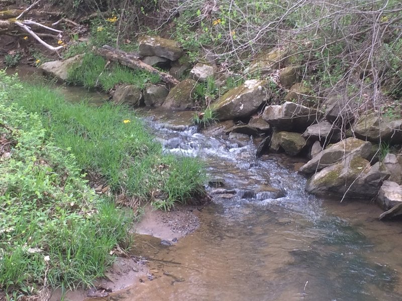 Jordan Run Creek meanders through the preserve.