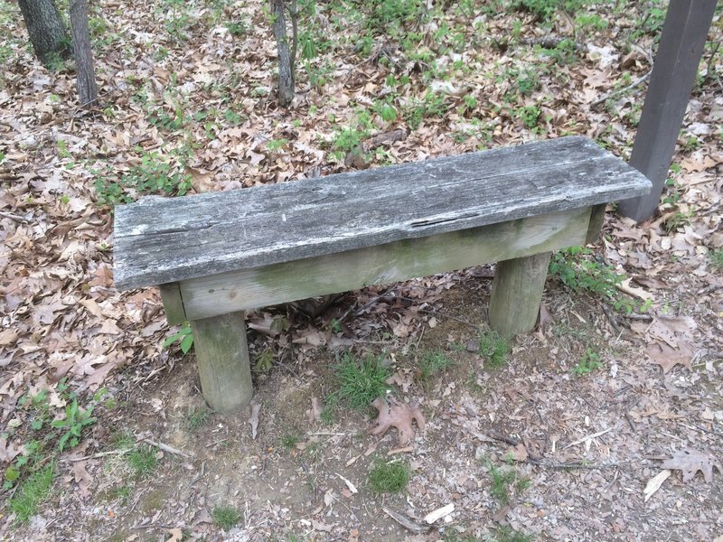 A thoughtfully placed bench at the halfway point!