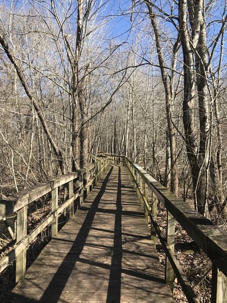 The boardwalk leaving Killdeer Pond.