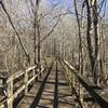 The boardwalk leaving Killdeer Pond.