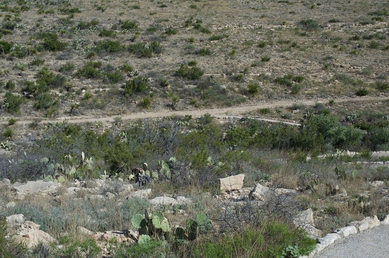 Looking back into the park, the New Mexico environment is on full display.