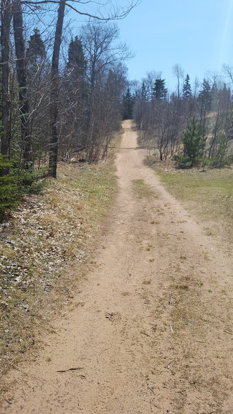 Near the start of the Mt. Baldy trail.