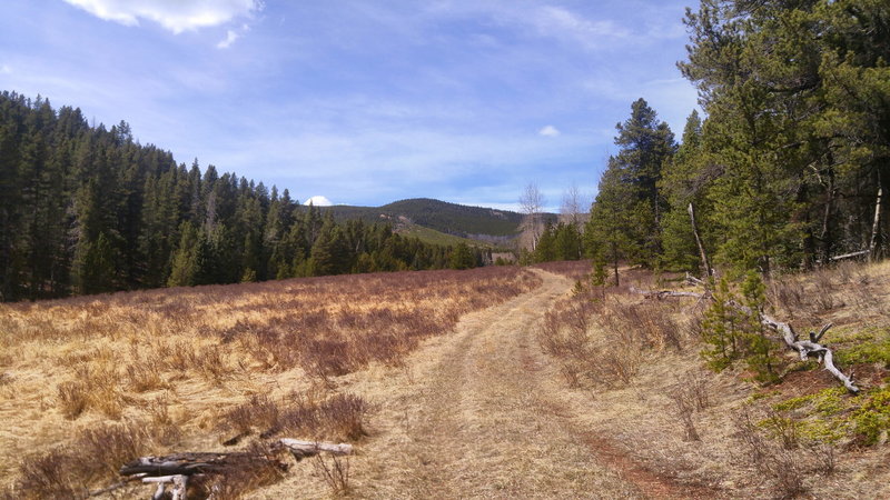 Cub Creek Trail to Staunton Park connection. Looking north two miles up from Staunton Park link.