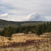 Along the Cub Creek Trail to Staunton Park connection. Looking NW towards the 2000 Black Mountain Wildfire burn site across meadow.