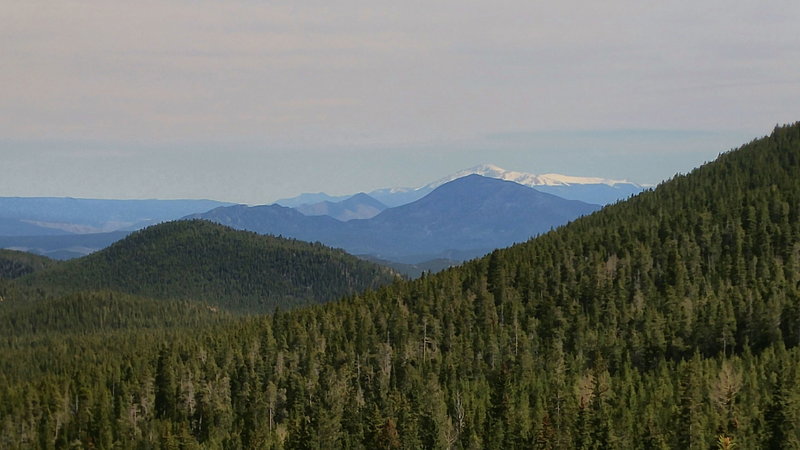 Cub Creek Trail to Staunton Park connection. Looking SW with Pikes Peak in the distance.