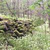 An old wall and wildflowers along the Overmountain Victory Trail.