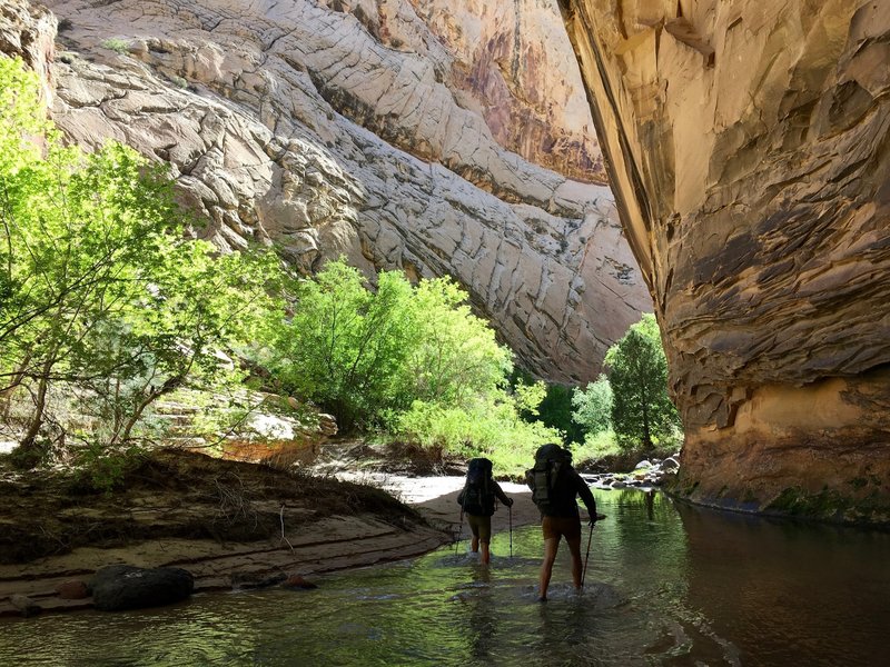 Where the creek becomes the trail.