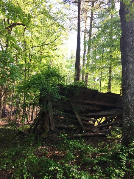 Dilapidated cabin along the road.