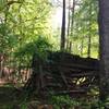 Dilapidated cabin along the road.