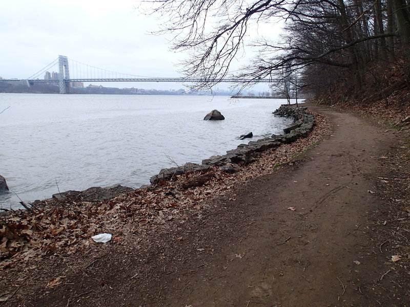 The view of George Washington Bridge from the Shore Trail.