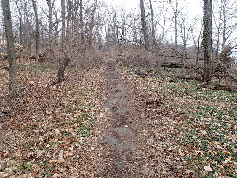 The trail after leaving Allison Park.