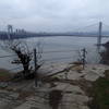 The view of George Washington Bridge from the Long Path Trail.