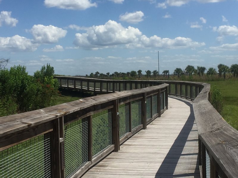 Boardwalk section along the Sweetwater Boardwalk Loop.