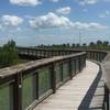 Boardwalk section along the Sweetwater Boardwalk Loop.