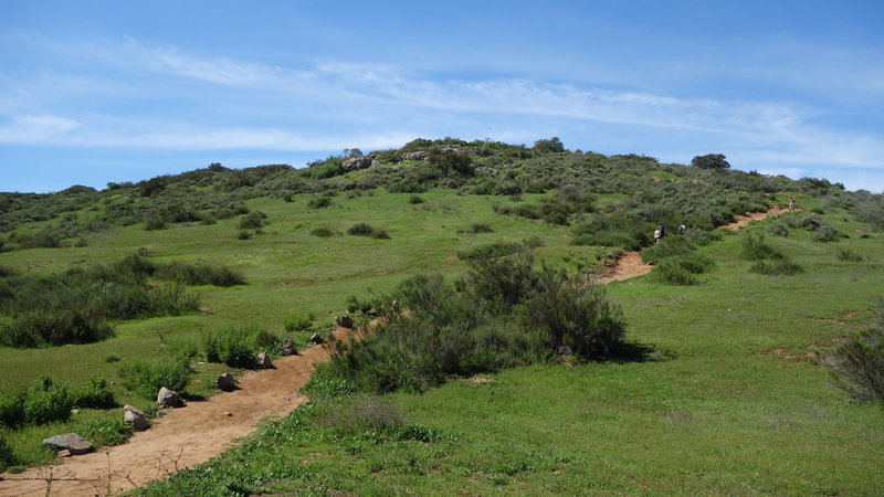 Start of Kwaay Paay Peak Trail at Mission Trails Park.