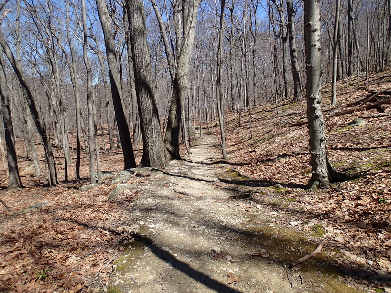 A view of Undercliff Trail.