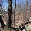 A view of Undercliff Trail.