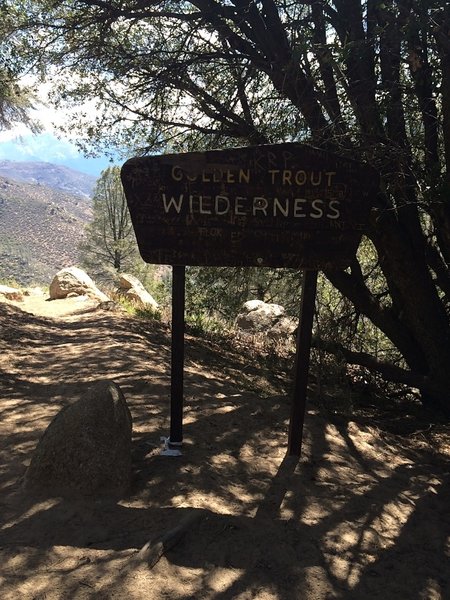 Entering the Golden Trout Wilderness.