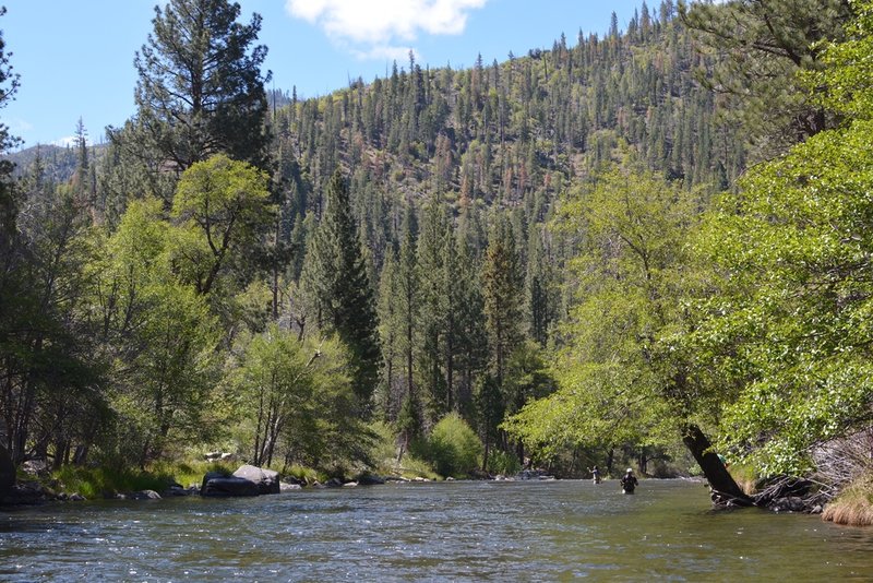 There is great fly fishing along the Kern River.