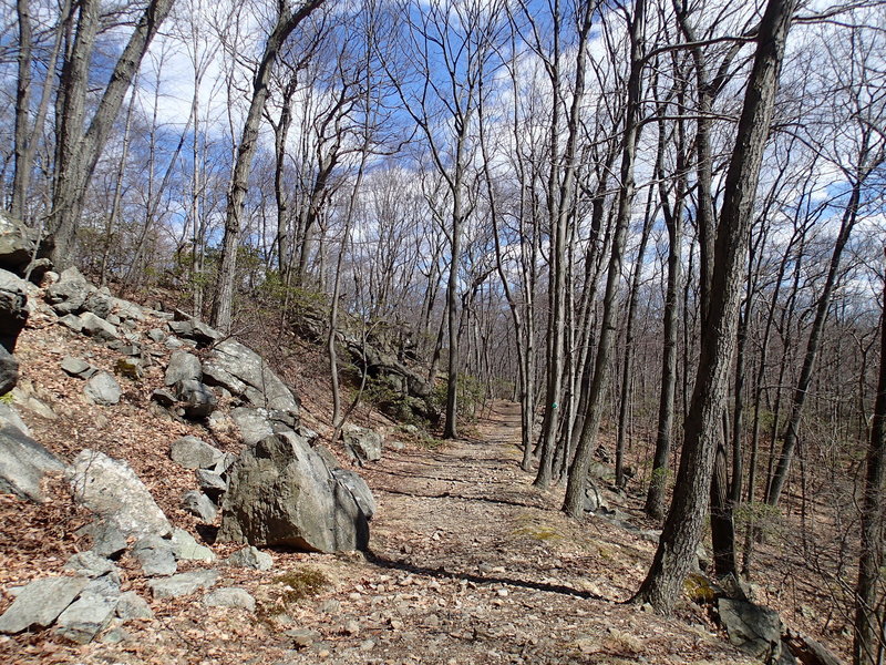 Nelsonville Trail.