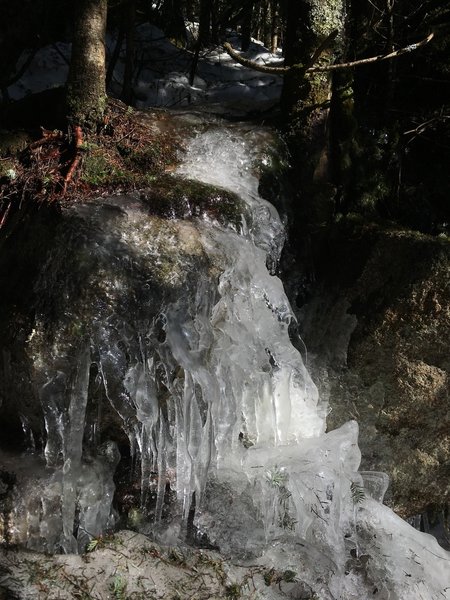 Ice melting on the west slope of Cannon Mountain.