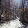 Winter on the Charles Bailey Trail.