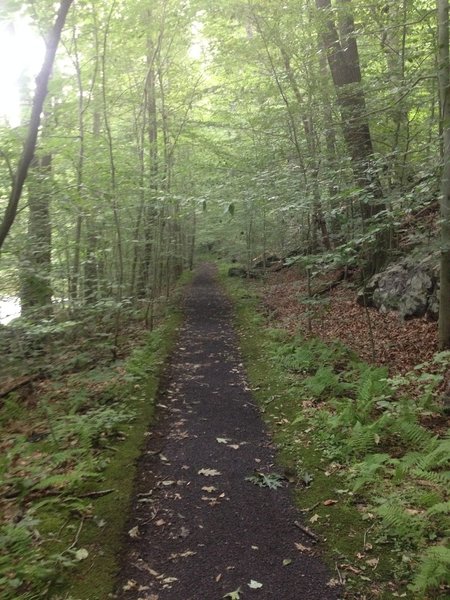 The old railroad bed on the Charles Bailey Trail.