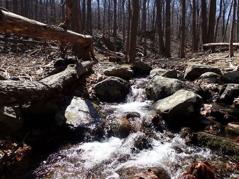 The first stream crossing.