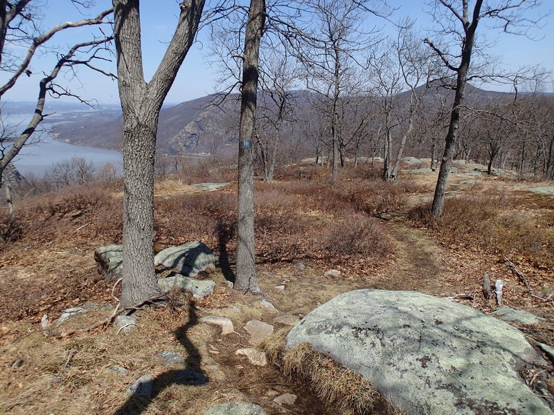 The views along Howell Trail.