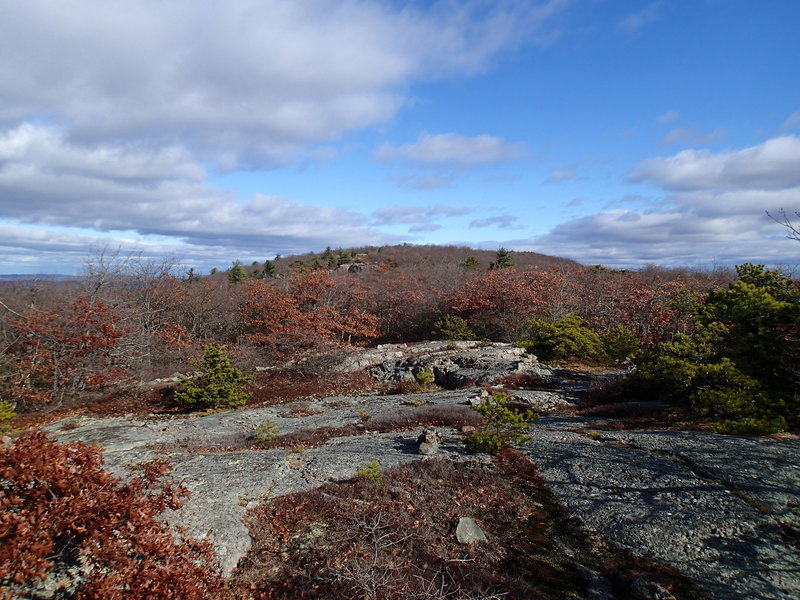 Schunnemunk Ridge comes alive after the snow melts and spring brings sunshine.