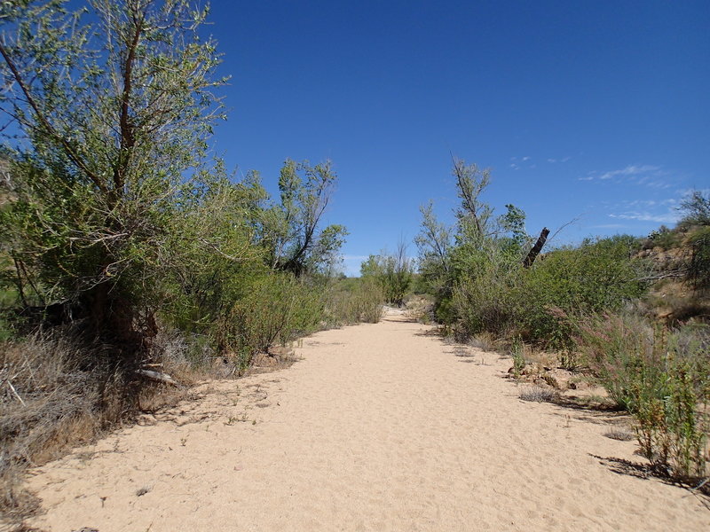 Badger Spring Wash leads to a real treat at trail's end.