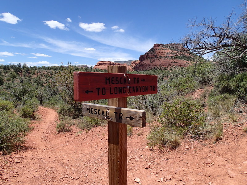 The start of the loop is marked by this sign.