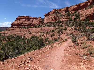 You'll get your fair share of visual stimulation on the trail around Mescal Mountain.