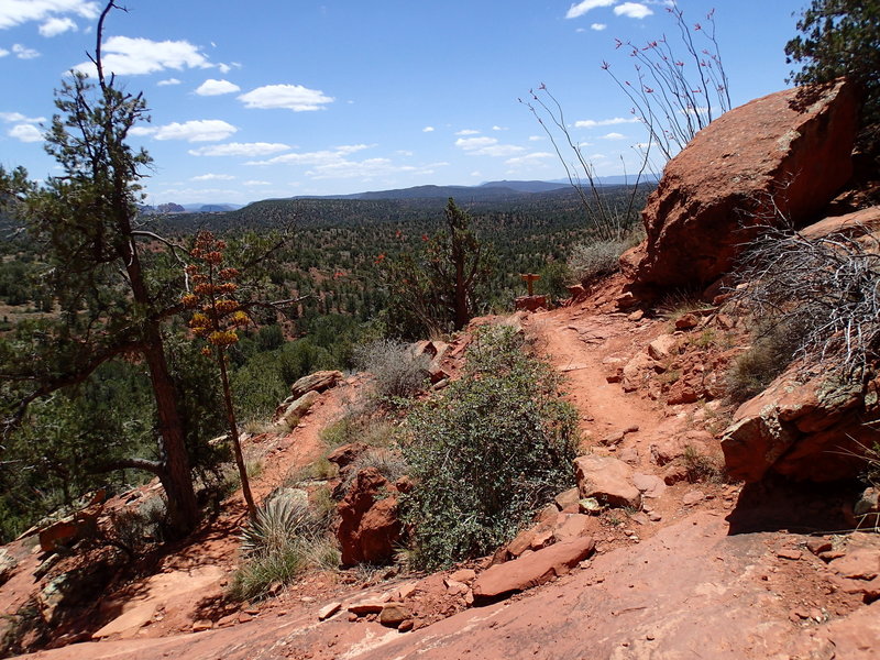 Mescal Mountain offers phenomenal views of the expansive forests around Sedona.