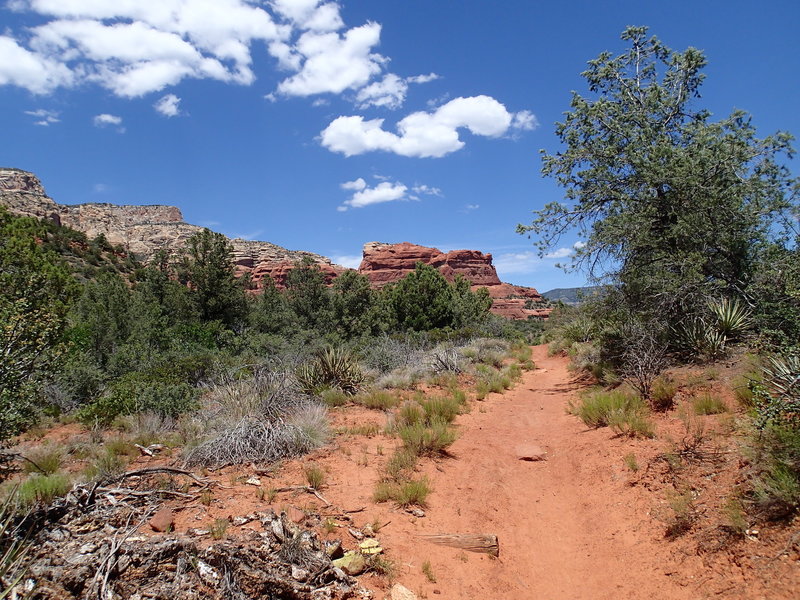 Deadmans Pass Trail offers quiet solitude in the heart of the desert.