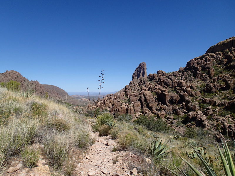 Peralta Canyon and Weavers Needle pose for a photo.