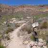 The Terrapin - Bluff Springs Trail junction is well marked by this sign.