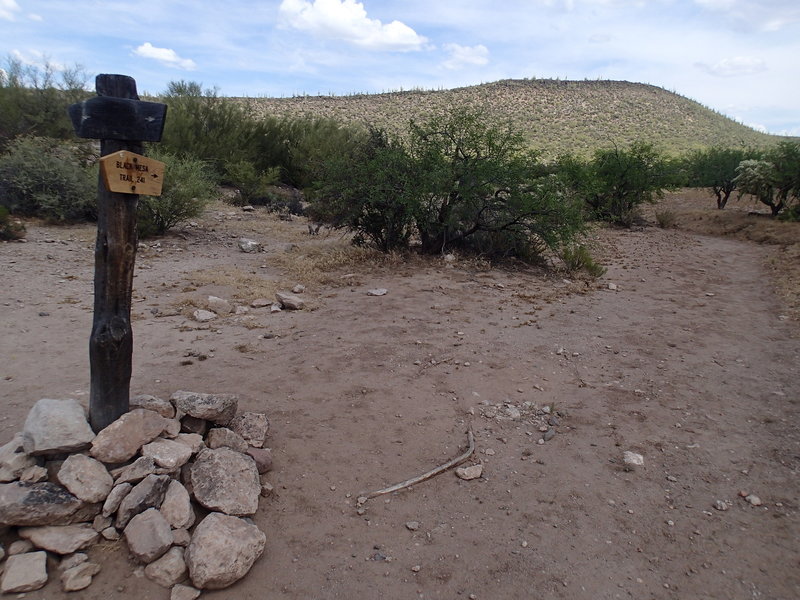 The Second Water Trail - Black Mesa Trail junction is well marked by signage.