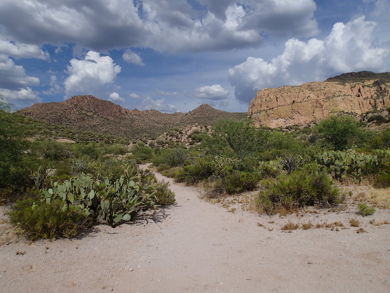 Enjoy expansive views from the Black Mesa Trail - Dutchman Trail junction