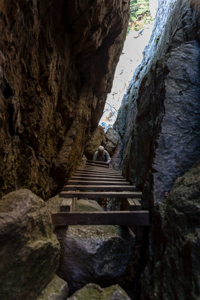 You'll have to climb this ladder between a narrow slot in the rocks along the Labyrinth and Lemon Squeeze.