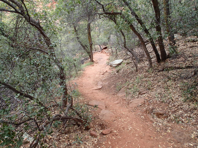 This is typical for the trail just past Enchanted Resort Spa.