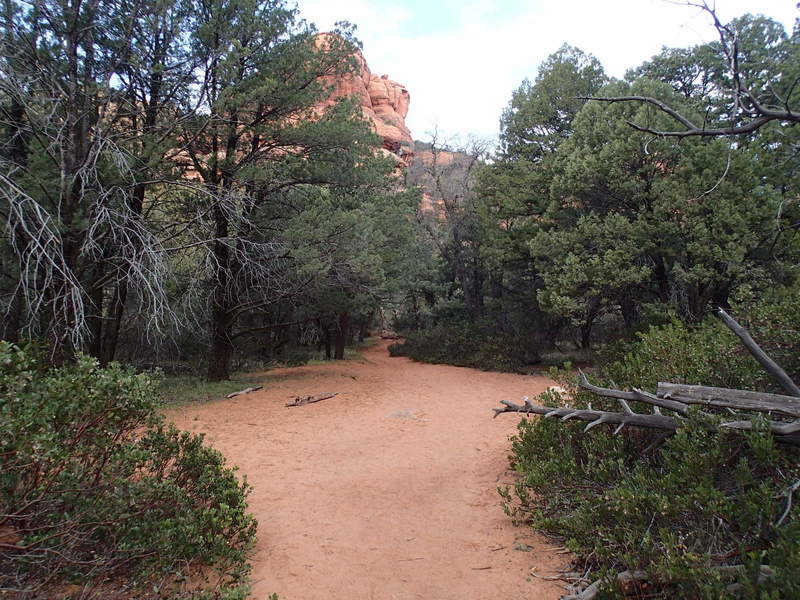 Boynton Canyon Trail has a smooth tread that allows you to take your eyes off the trail and enjoy your surroundings.