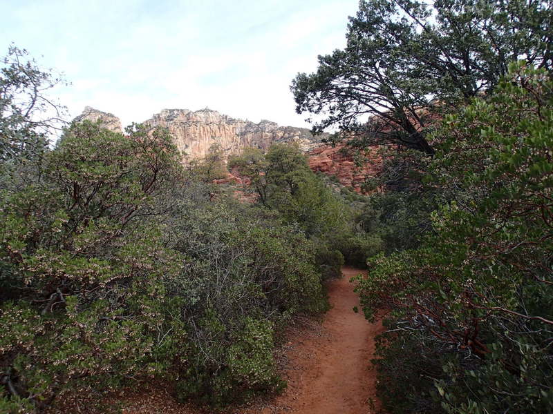 Boynton Canyon Trail offers great looks at the local area geology.