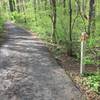 Trail junction on the Wendell Cassel Trail.