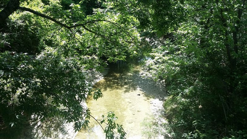 This is the slow-moving Watters Creek at its best.