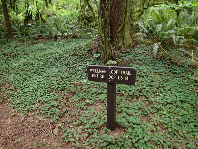 The start of the trail is marked by this sign.