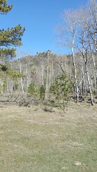 A view of the fire lookout from the Custer Peak Trail.