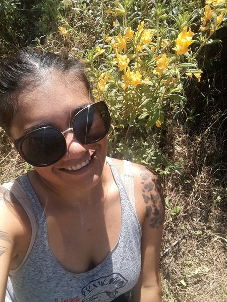 Wildflowers abound on the Coyote Trail.