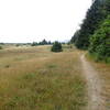 The Coastal Trail is the backbone of California Coast recreation.